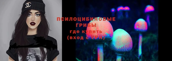 ECSTASY Бронницы