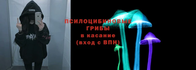 ECSTASY Бронницы